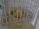 Photo0051
