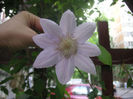 SANY0142