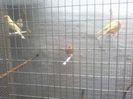 Photo0052