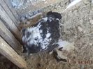 DSC00754