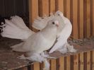 DSC00760