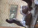 DSC00765