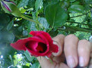 Fotogr.1236