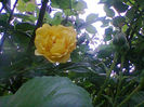 Fotogr.1237