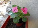 DSCN0520