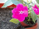 DSCN0535