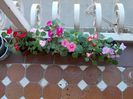 DSCN0538