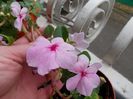 DSCN0881