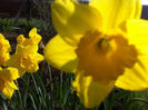 Copy of IMG_0340