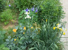 DSCF0871