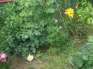 DSCF0883