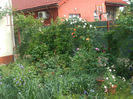 DSCF0929