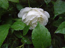 P1018089