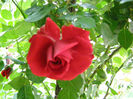 P1018085