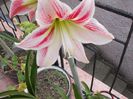 DSCN0742