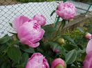 DSCN0930