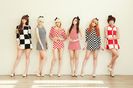 hello venus