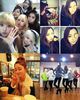 44969-hello-venus-share-their-personal-life-with-fans-through-twitter