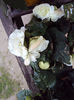DSC04008