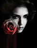 tvd (11)