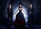 tvd