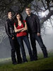 tvd (1)