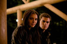tvd (16)