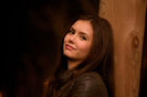 tvd (18)