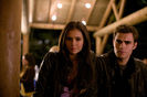 tvd (20)
