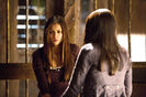 tvd (2)