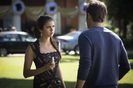 tvd (6)