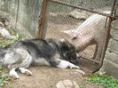 IMG_2759