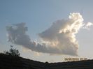 IMG_2797