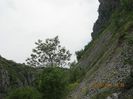 IMG_3127