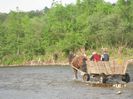 IMG_3204