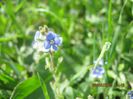 IMG_3294