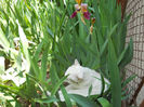 DSCN3159