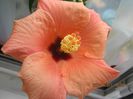 IMG_3389