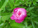 DSCN3149