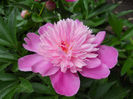 DSCN3147