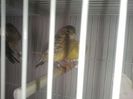 Photo0096