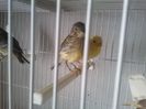Photo0097