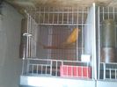 Photo0120