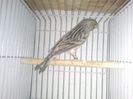 Photo0128