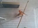Photo0150