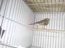 Photo0154