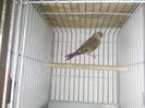 Photo0156