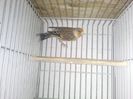 Photo0161