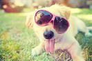 tumblr_m88ophF6SD1r054p5o1_500