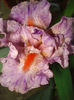 DSC05850